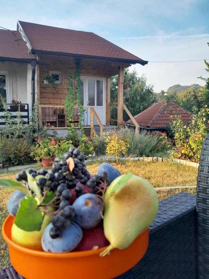 Apartman Civovic Rudnik Exterior photo